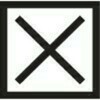 The X Company