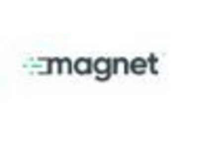 Magnet