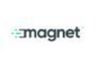 Magnet