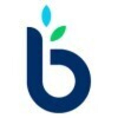 BusinessLoans.com