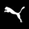 PUMA Group 