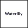 Waterlily