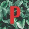 Pildora