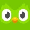 Duolingo 