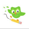 Duolingo for Schools