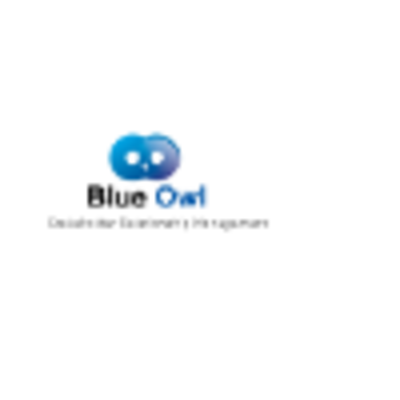 BLUE OWL