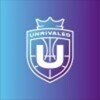 Unrivaled Basketball